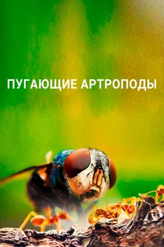 ТВ-шоу Пугающие артроподы 1 сезон (1-3 серия)